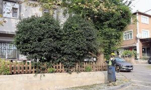 Maltepe Belediyesi’nden Büyükbakkalköy’de kapsamlı temizlik çalışması